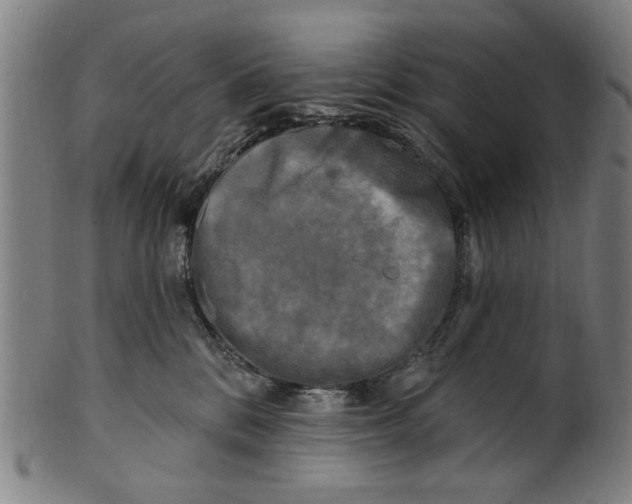 X0000100840328200807111157