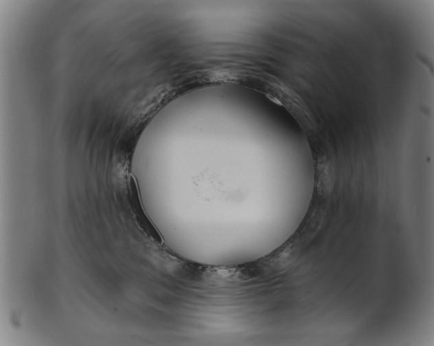 X0000100840329200807111157