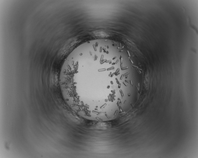 X0000100840330200807111157