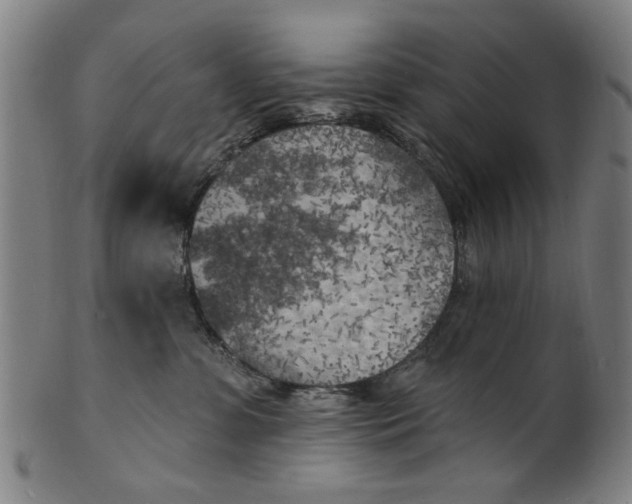 X0000100840331200807111157