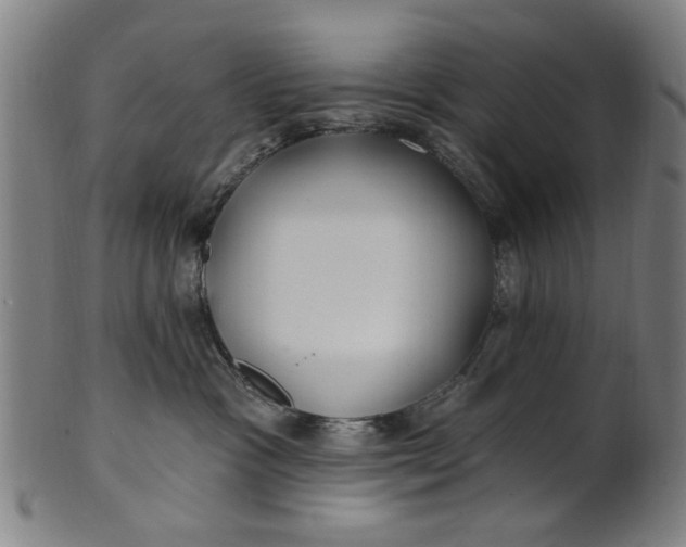 X0000100840333200807111157