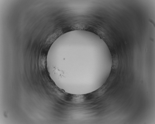 X0000100840334200807111157