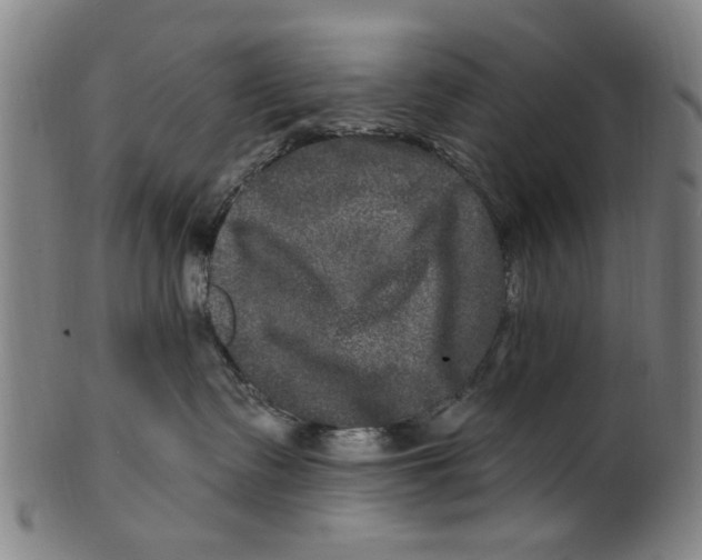 X0000100840335200807111157