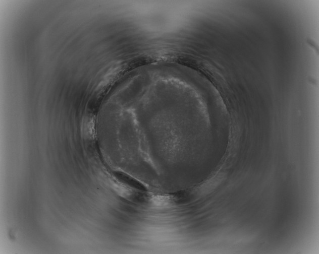 X0000100840336200807111157