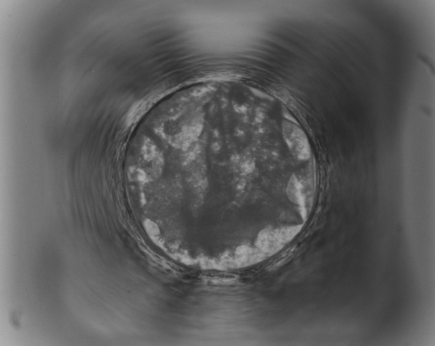 X0000100840337200807111156