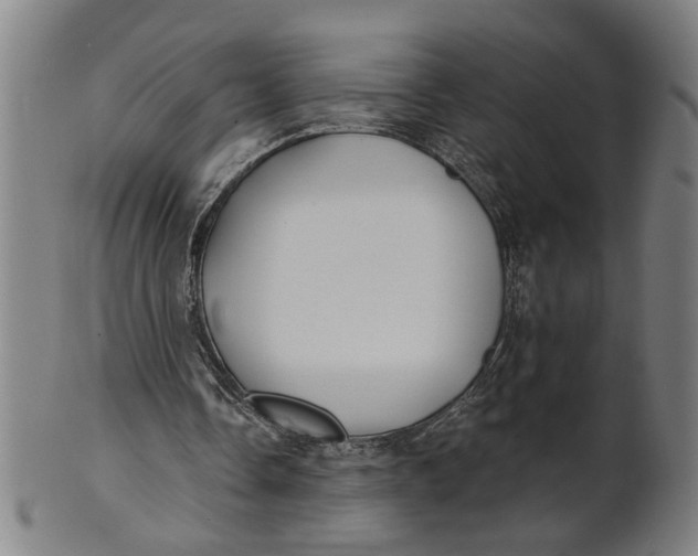 X0000100840338200807111156