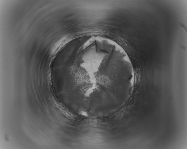 X0000100840339200807111156