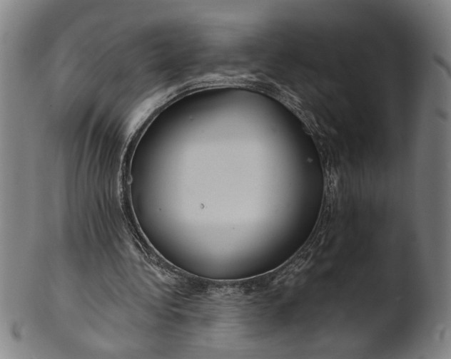 X0000100840340200807111156