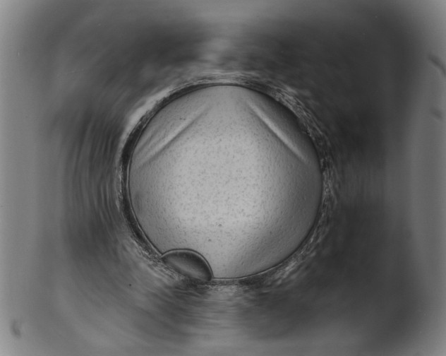 X0000100840342200807111157