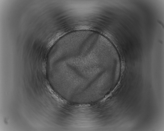 X0000100840345200807111157