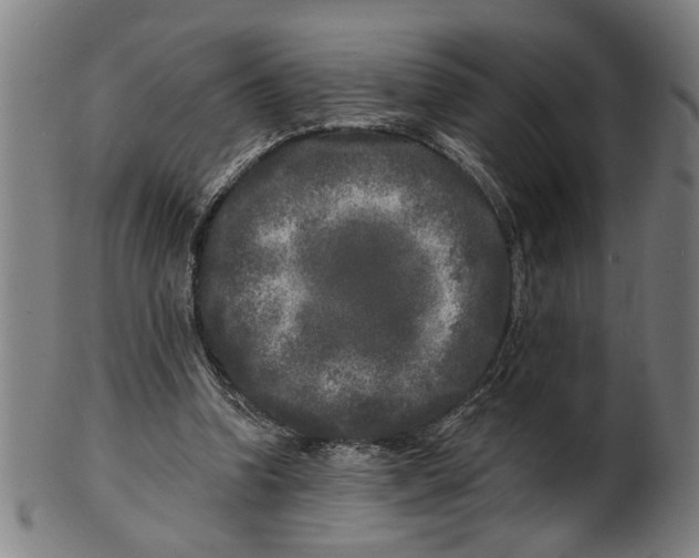 X0000100840346200807111157