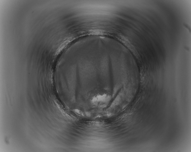 X0000100840347200807111157