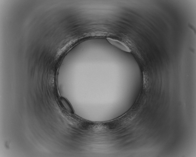 X0000100840348200807111157