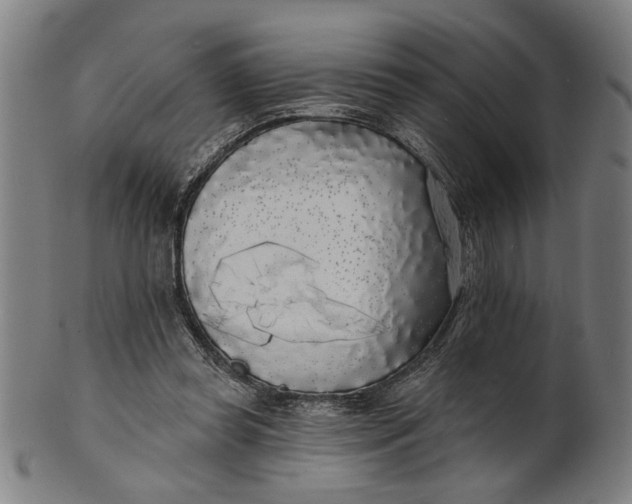 X0000100840349200807111157