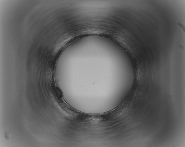 X0000100840352200807111157