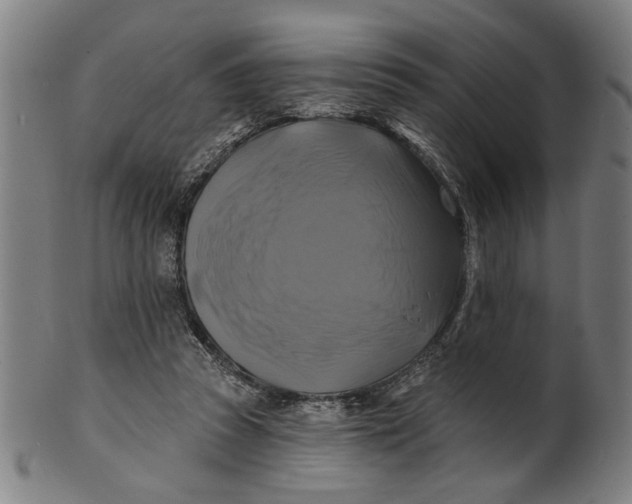 X0000100840353200807111157