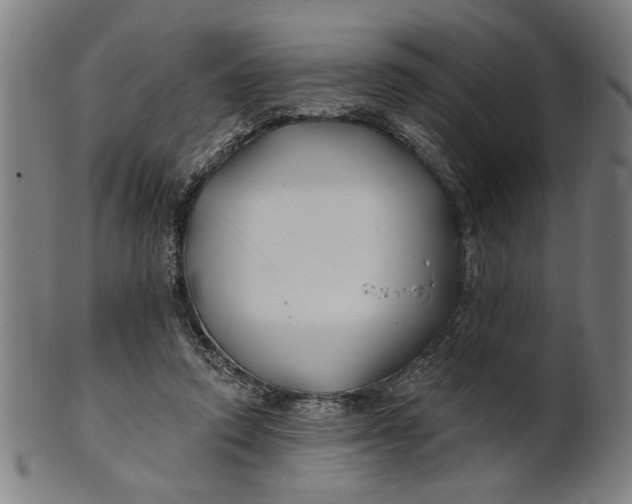 X0000100840354200807111157