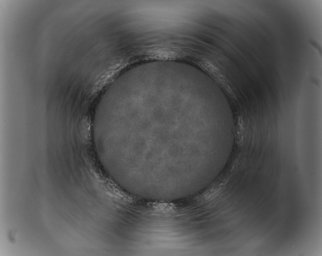 X0000100840355200807111157