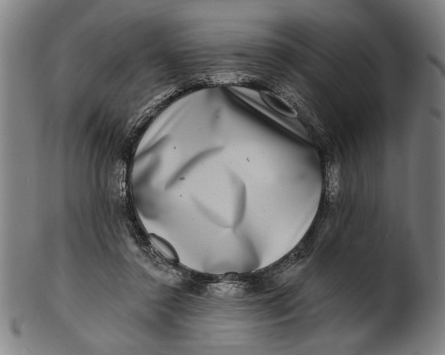 X0000100840356200807111157