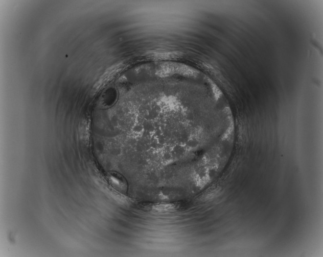 X0000100840357200807111157