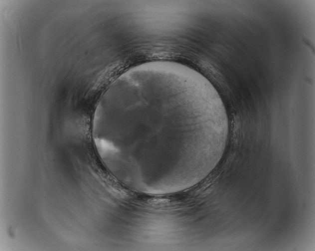 X0000100840361200807111157