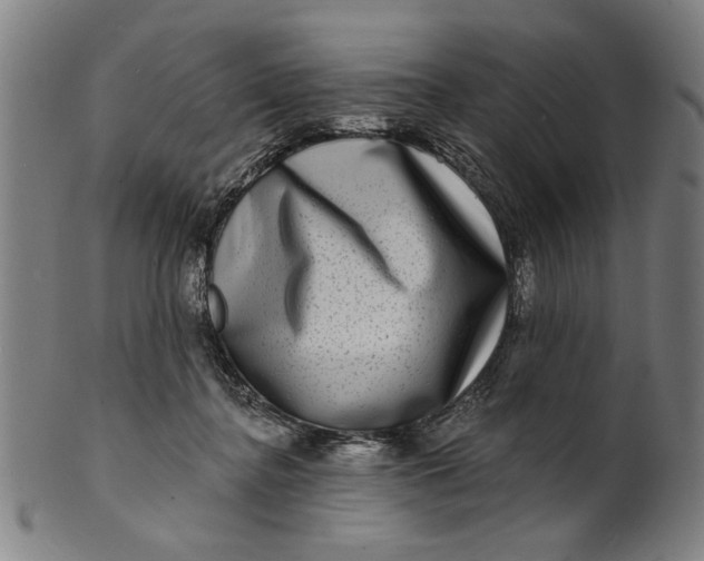 X0000100840364200807111157