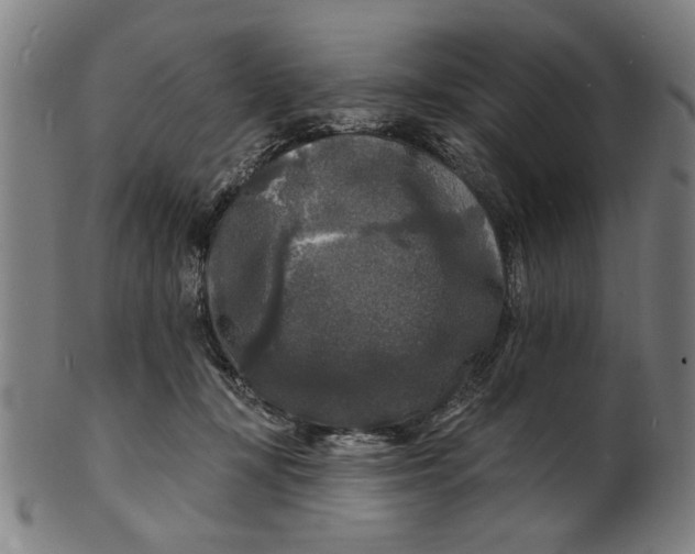 X0000100840367200807111157