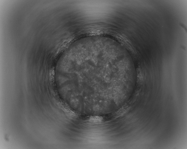 X0000100840369200807111157