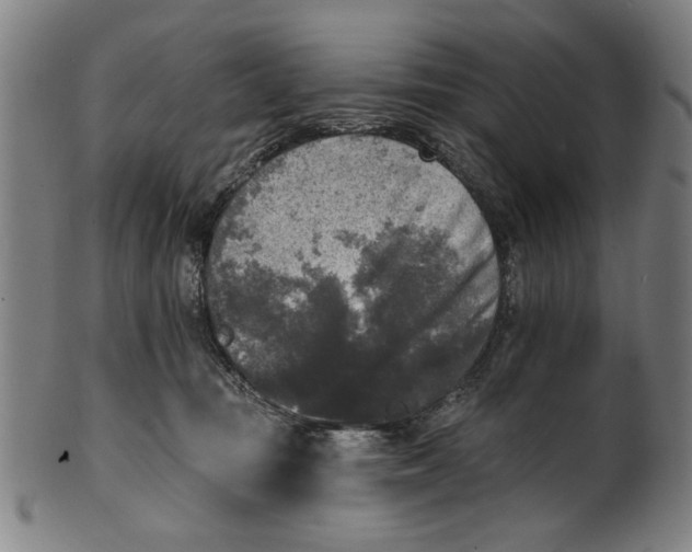 X0000100840371200807111157