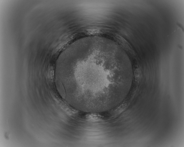 X0000100840372200807111157