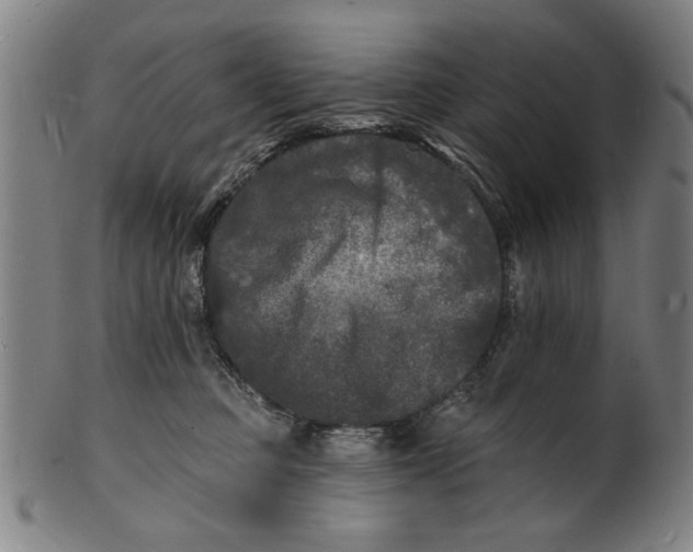 X0000100840373200807111157