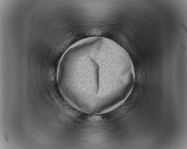 X0000100840374200807111157