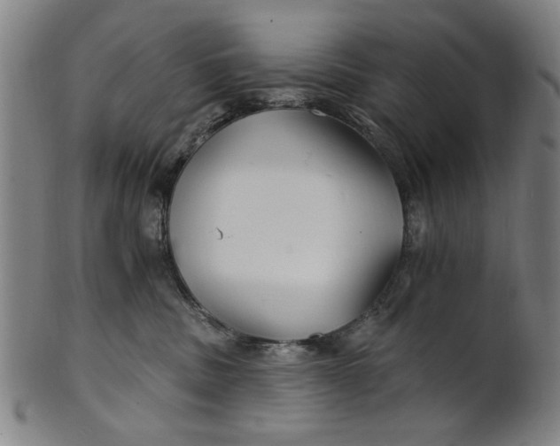 X0000100840379200807111157