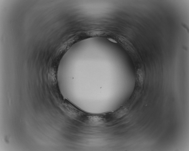 X0000100840380200807111157