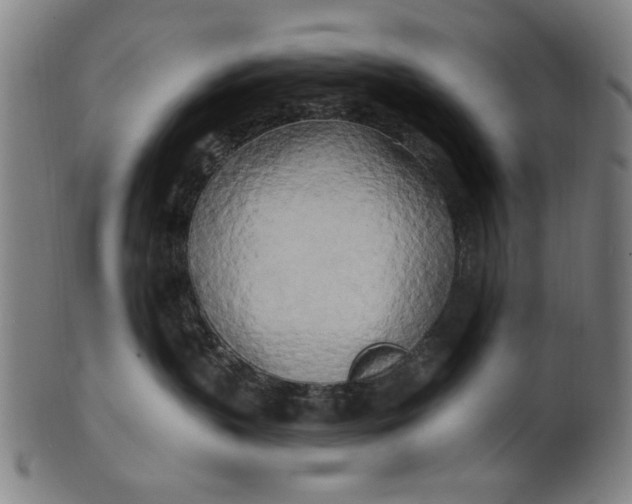 X0000100840383200807111157