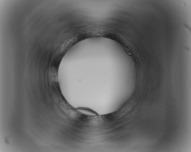 X0000100840384200807111157