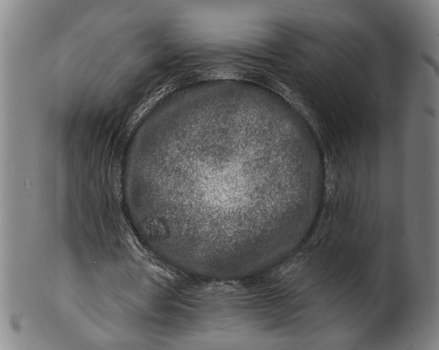 X0000100840386200807111156