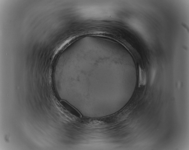 X0000100840387200807111156