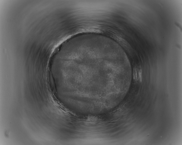 X0000100840388200807111156