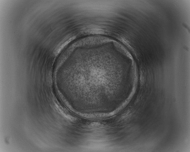 X0000100840390200807111156