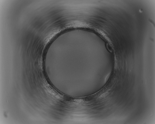 X0000100840391200807111156