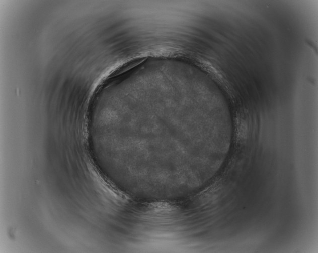 X0000100840392200807111156