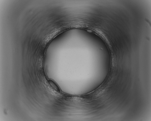 X0000100840393200807111156