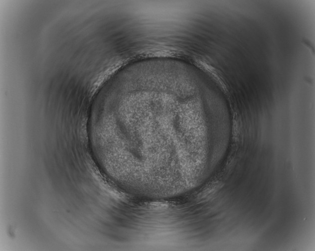 X0000100840394200807111156