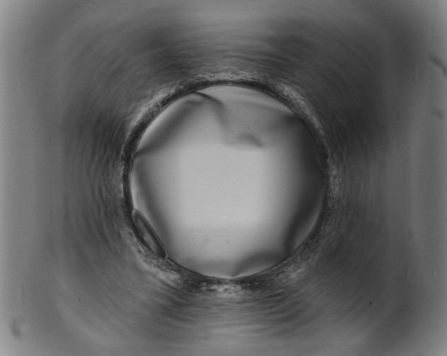 X0000100840395200807111156