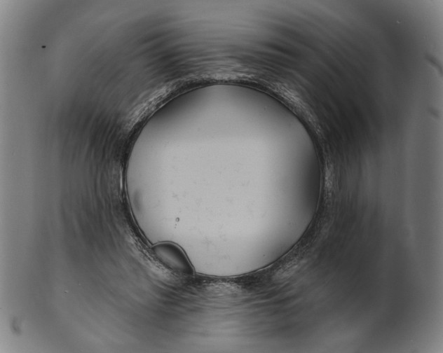 X0000100840397200807111156