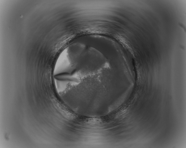 X0000100840398200807111156