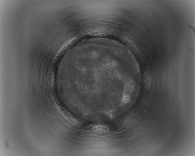 X0000100840400200807111156