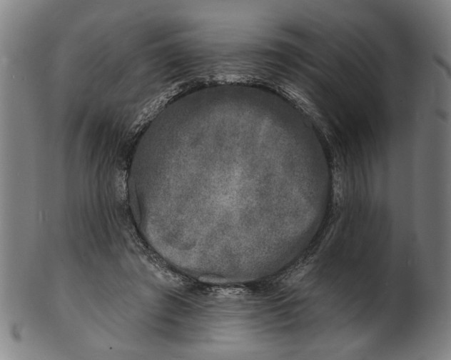 X0000100840401200807111156