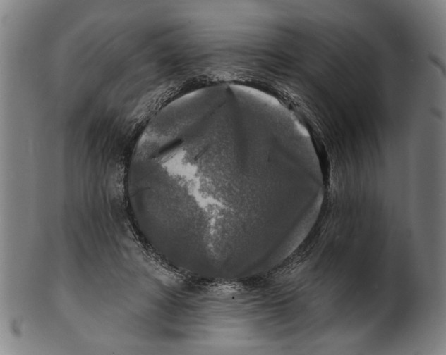 X0000100840402200807111156